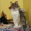 Отзыв от Таисия Быкова